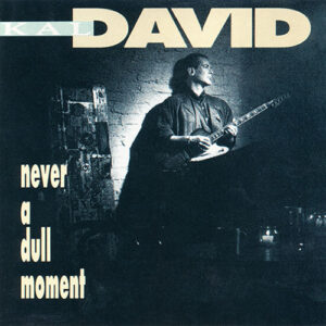 Kal David - Never A Dull Moment
